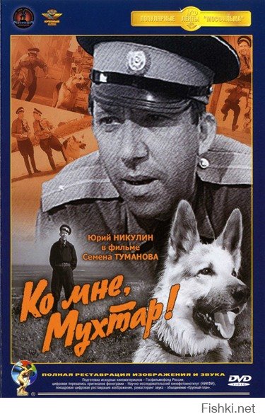 Можно продолжать и продолжать