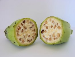 Это настоящий "натуральный" банан -  как полагается с семенами внутри. А то, что мы едим измененное селекцией растение. И нормально, вроде. Не зажужжали.