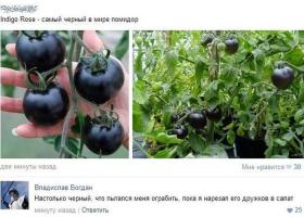 3,14здец как смешно *ля! Всем офисом под столом...