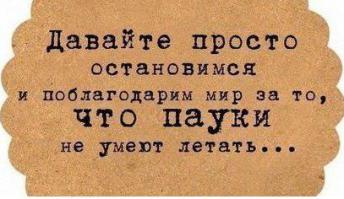 Колония из сотни миллионов пауков внутри очистных сооружений