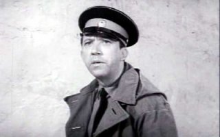 Упрямый пёс