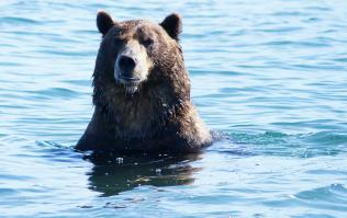 National Geographic: лучшие фотографии августа