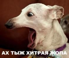 Тяжелая жизнь попрошайки