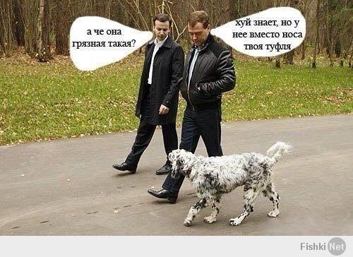 Сравнение Путина и Обамы.