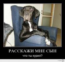 Когда мы усыновили тебя...