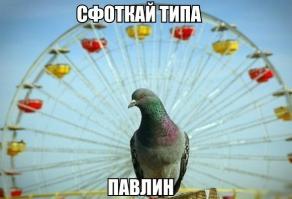 Смешные попытки повторить стоковые фотографии  