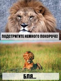 История одного бритья