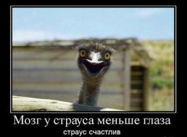 Размер имеет значение