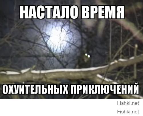 Вот что нынче модно