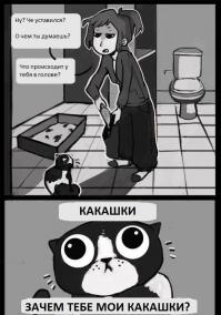 О чем на самом деле думают коты (16 фото)