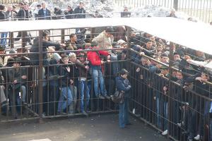 я видел как китайцы в свое посольство в мск утром пытались попасть

как на фото, только с кунг фу