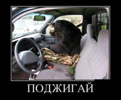 Русские медведи 