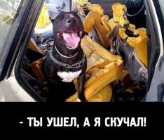 Фишкина солянка за 06.09.2014