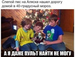 Фишкина солянка за 06.09.2014