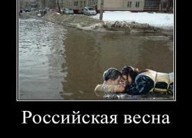 Фишкина солянка за 06.09.2014