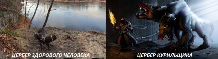 35 неудачных снимков, которые превратили людей и животных в мутантов 