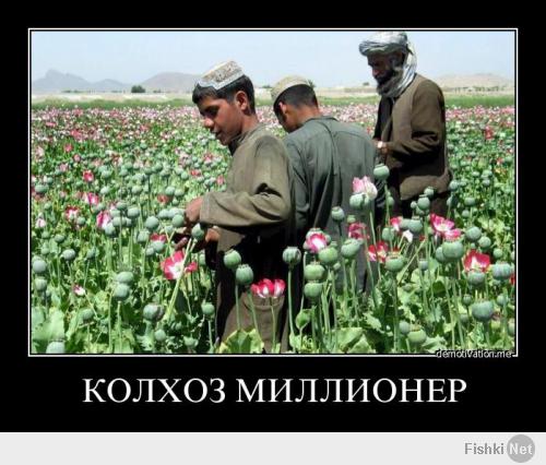 Подборка видео от 11.02.2014