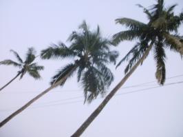 Лучшие фотографии, сделанные непрофессионалами