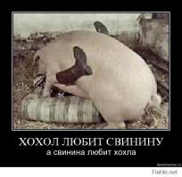 МИД РФ: Россия уважает волеизъявление жителей юго-востока Украины 