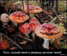 И снова Россия ввела войска...