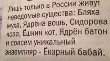 Смешные комментарии из социальных сетей 29.11.14