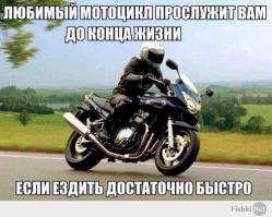 Сегодня этот пост меня потряс! Причем тупостью обоих участников. Третий раз сюда пишу - просто не могу пройти мимо, чтобы еще раз не сказать: хруст - даун! КОНЧЕНЫЙ! Времени на остановку и маневр было безумно много! Такой-же, как и водятел авто. Эта фотка, набравшая уже более полусотни лайков, как раз про него!