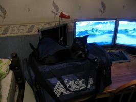 Таааааа!!!! )))))))))))) Но чаще всего кот = уют в доме. На фото - мой аглоед, с инспекцией в моей сумке после командировки. ))))