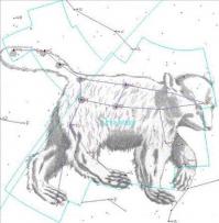 Это надо не просто воображение иметь достойное, но и быть в курсе истории. А значит, ну, крайне желательно, иметь образование хотя-бы в рамках средней школы. Современным школьникам - большие скидки из-за преподов, которые тоже ничего не знают, хотя и должны. 
Итак! 
Арабы, "заселившие" небо сказочными персонажами и красивыми названиями звезд,  многие вещи знали по наслышке. Так же как и греки, во времена которых, астрономия только зарождалась как астрология. 
В те времена считали, что медведь это ну ооочень большая росомаха, у которого имеется приличный хвост. Ведь мало кто из тех ученых, видел медведя в живую. А потому и прикинули, что вот эта область неба, в которой есть ковшик побольше и ковшик поменьше, можно назвать созвездием, в очертания которого медведь впишется на ура. 
Если вы рискнете найти рисунок из атласа Яна Гевелия - одного из тех астрономов, он вам расскажет о хоте мыслей тех людей. Но если вам в лом искать, как и любому диванному воителю, то фотка под моим комментом очень хорошо проиллюстрирует сказанное.