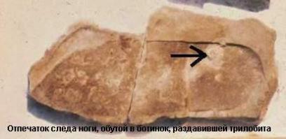 Там, если покопаться, такого не найдут? )))))))))