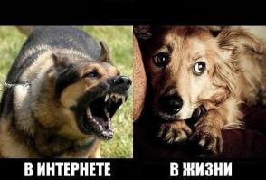 <span style='color:gray'>[мат]</span> который не умет отвечать на вопросы лучше бы в машине сиделбы