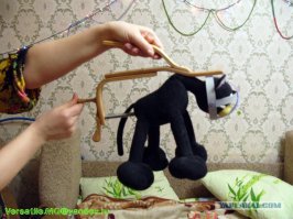 А вот это приспособление для киски не только изобрели, но и создали и испытали. И заказать можно :)