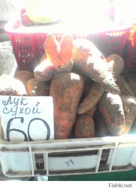 Смешные объявления и надписи