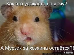 Интересная находка в машине