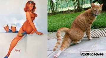 Оригинальная пародия на знаменитостей