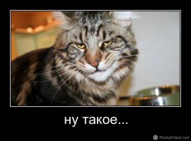 Студенты подшутили над преподавателем