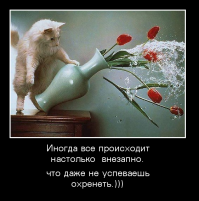 17 фотографий, которые идеально передают суть жизни