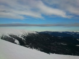 Фотоподборка за 12.02.2015