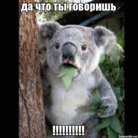 Восточный гороскоп на 2015