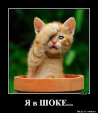 Слэклайн над Рио-де-Жанейро