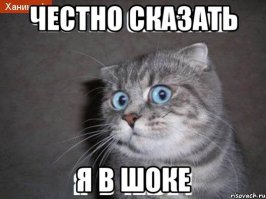Запретный лес