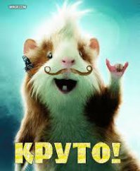 Только вот забыли добавить, что если нет таланта от природы, то нужно курсы художников и дизайнеров заканчивать, авось поможет, хотя и не факт)))