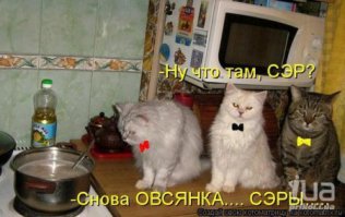 Эти продукты нельзя есть натощак