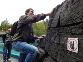 15 примеров гражданского неповиновения