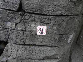 15 примеров гражданского неповиновения