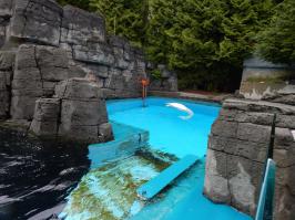 15 примеров гражданского неповиновения