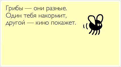 Удивительный грибной мир нашей планеты
