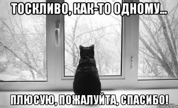 "Солянка" от 05.01.2014