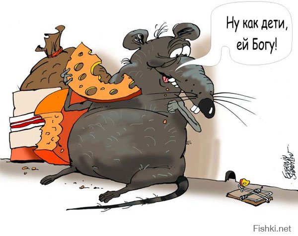 Исповедь одной московской крысы