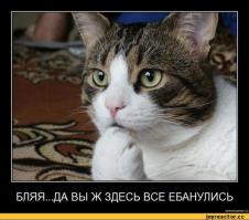 и чего все веселятся. афтор **лан. из-за него невинный пострадал. а семерочник скажет ментам, что тот ему в жопу въехал. и все соснут. никто ничего не докажет. никакие видео суд не примет. да и до суда тут не дойдет. мент просто запишет все показания, и никаких доказательств не будет. более того, семерочник имел право там находиться - имел право обгонять в этом месте. методы у афтора - гомно.. афтор - ***ан. единственный способ сделать виновным семерочника - ***ать бампером афтора в него. а так - кусок говна..