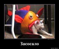 Бабушки на эскалаторе